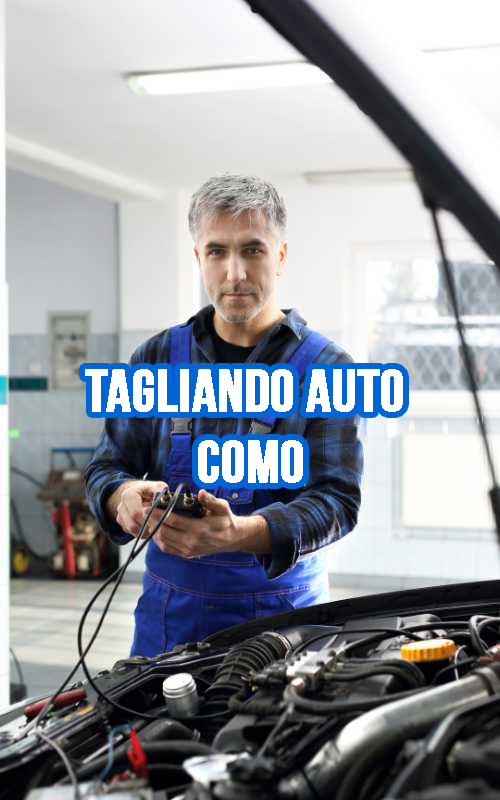 TAGLIANDO AUTO COMO