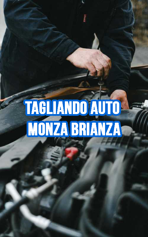 TAGLIANDO AUTO MONZA BRIANZA