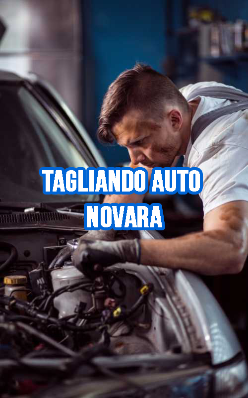 TAGLIANDO AUTO NOVARA