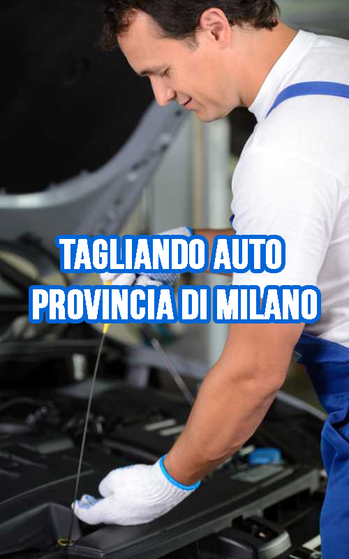 TAGLIANDO AUTO PROVINCIA MILANO