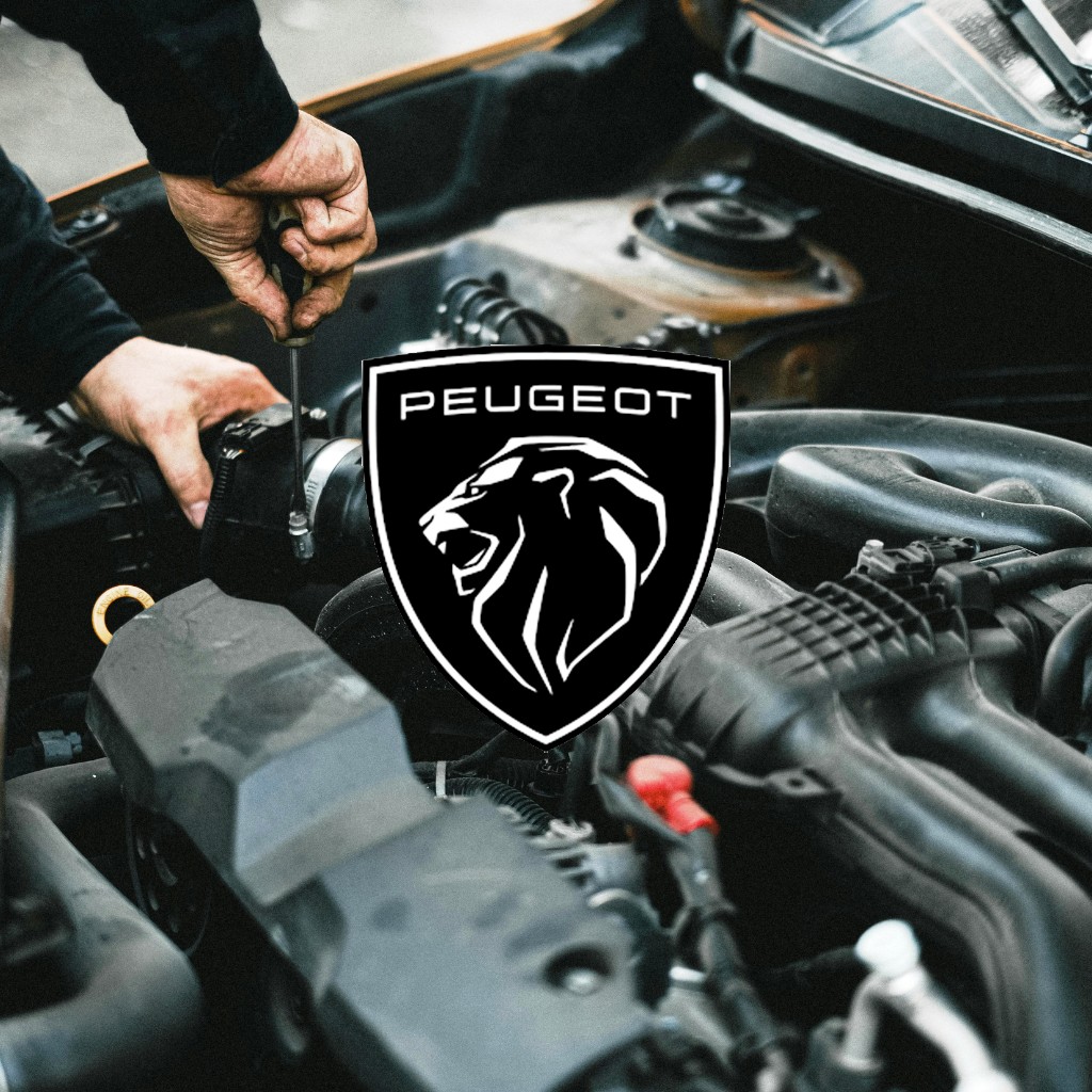 Tagliando peugeot Milano