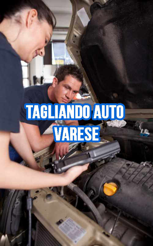 TAGLIANDO AUTO VARESE
